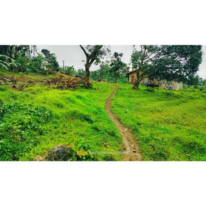 Cebu overlooking lot for sale near calvary mountain station of the cross and sirao garden in Sirao