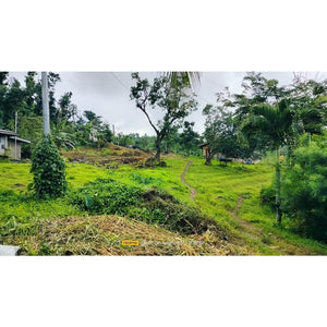 Cebu overlooking lot for sale near calvary mountain station of the cross and sirao garden in Sirao