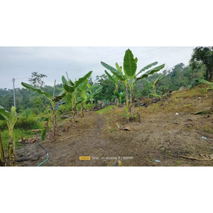 Cebu overlooking lot for sale near calvary mountain station of the cross and sirao garden in Sirao