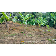 Load image into Gallery viewer, Cebu overlooking lot for sale near calvary mountain station of the cross and sirao garden in Sirao