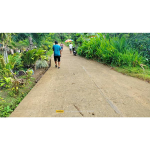 Cebu overlooking lot for sale near calvary mountain station of the cross and sirao garden in Sirao