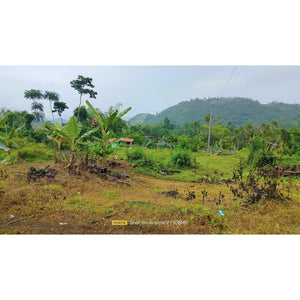 Cebu overlooking lot for sale near calvary mountain station of the cross and sirao garden in Sirao