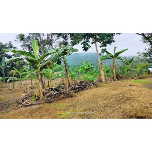 Cebu overlooking lot for sale near calvary mountain station of the cross and sirao garden in Sirao