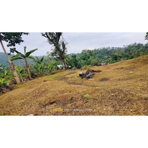 Cebu overlooking lot for sale near calvary mountain station of the cross and sirao garden in Sirao