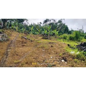 Cebu overlooking lot for sale near calvary mountain station of the cross and sirao garden in Sirao