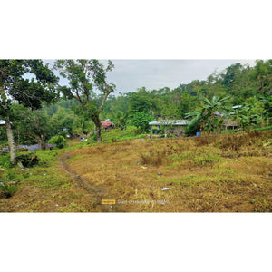 Cebu overlooking lot for sale near calvary mountain station of the cross and sirao garden in Sirao