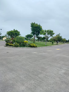 Harmony Lawn Lots At Manila Memorial Park Cebu