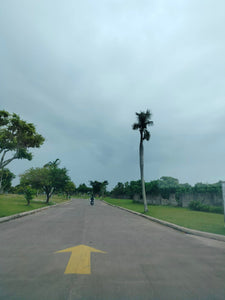 Harmony Lawn Lots At Manila Memorial Park Cebu