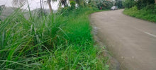 Load image into Gallery viewer, Lot for sale Dumanjug Cebu 2.5Hectares @ 3,000,000 negotiable