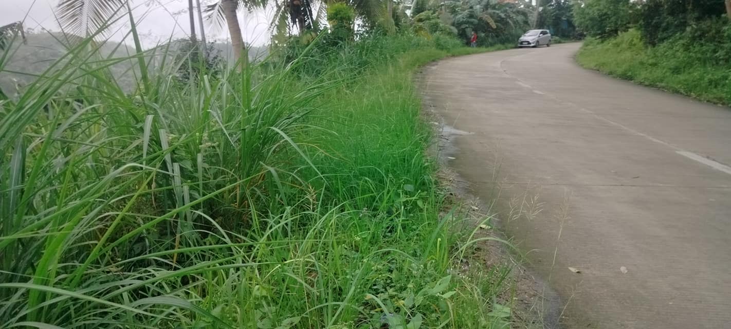 Lot for sale Dumanjug Cebu 2.5Hectares @ 3,000,000 negotiable