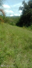 Load image into Gallery viewer, Lot for sale Dumanjug Cebu 2.5Hectares @ 3,000,000 negotiable