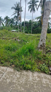 Lot for sale 1,600 sqm Aloguinsan Cebu 1.2m