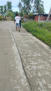 Lot for sale 1,600 sqm Aloguinsan Cebu 1.2m