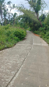 Lot for sale 1,600 sqm Aloguinsan Cebu 1.2m