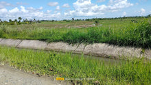 Load image into Gallery viewer, Bohol irrigated ricefield for sale 20,000 sqm clean title in Ubay Bohol 150 slightly negotiable