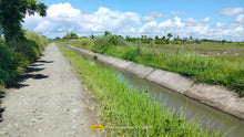 Load image into Gallery viewer, Bohol irrigated ricefield for sale 20,000 sqm clean title in Ubay Bohol 150 slightly negotiable