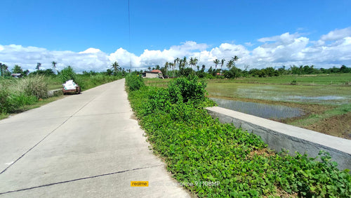 Lot For Sale Ricefield in Ubay Bohol with 28,000 sqm propertyph.net