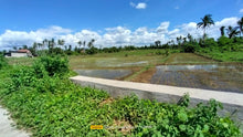 Load image into Gallery viewer, Lot For Sale Ricefield in Ubay Bohol with 28,000 sqm