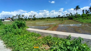 Lot For Sale Ricefield in Ubay Bohol with 28,000 sqm