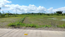 Load image into Gallery viewer,  Lot For Sale Ricefield in Ubay Bohol with 28,000 sqm