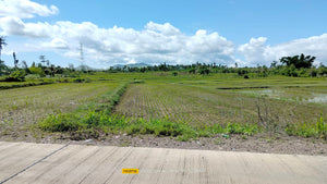  Lot For Sale Ricefield in Ubay Bohol with 28,000 sqm