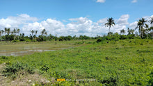 Load image into Gallery viewer, Lot For Sale Ricefield in Ubay Bohol with 28,000 sqm