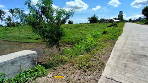 Lot For Sale Ricefield in Ubay Bohol with 28,000 sqm