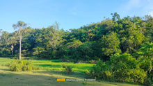 Load image into Gallery viewer, Lot for sale 3.9 hectares ready for title Adjacent in Sikatuna&#39;s Mirror of the World 250/sqm