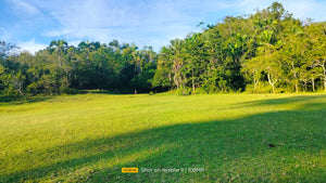 Lot for sale 3.9 hectares ready for title Adjacent in Sikatuna's Mirror of the World 250/sqm