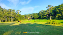 Load image into Gallery viewer, Lot for sale 3.9 hectares ready for title Adjacent in Sikatuna&#39;s Mirror of the World 250/sqm