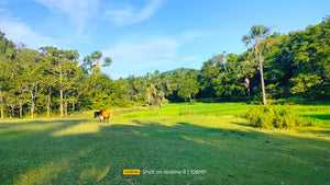 Lot for sale 3.9 hectares ready for title Adjacent in Sikatuna's Mirror of the World 250/sqm