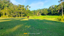 Load image into Gallery viewer, Lot for sale 3.9 hectares ready for title Adjacent in Sikatuna&#39;s Mirror of the World 250/sqm