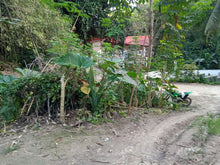 Load image into Gallery viewer, Lot For Sale in Talamban Cebu City with 578 sqm and Clean Title propertyph.net