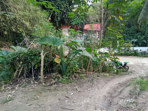 Lot For Sale in Talamban Cebu City with 578 sqm and Clean Title propertyph.net