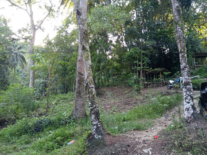 Lot For Sale in Talamban Cebu City with 578 sqm and Clean Title propertyph.net