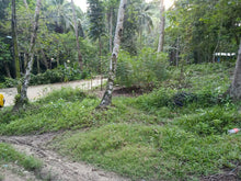 Load image into Gallery viewer, Lot For Sale in Talamban Cebu City with 578 sqm and Clean Title propertyph.net