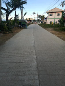 Tubigon Commercial/Residential Lot 3,000 sqm