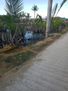 Tubigon Commercial/Residential Lot 3,000 sqm