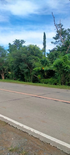 Bohol commercial lot for sale 200 sqm clean title Highway in Trinidad Bohol 3,500/sqm