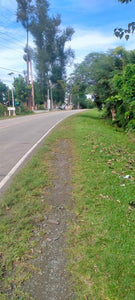 Bohol commercial lot for sale 200 sqm clean title Highway in Trinidad Bohol 3,500/sqm