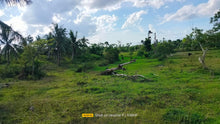 Load image into Gallery viewer, Bohol lot for sale 11,000 sqm clean title in Trinidad Bohol 900k negotiable