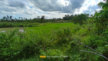 Load image into Gallery viewer, Bohol lot for sale 11,000 sqm clean title in Trinidad Bohol 900k negotiable