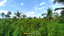 Load image into Gallery viewer, Bohol lot for sale 11,000 sqm clean title in Trinidad Bohol 900k negotiable