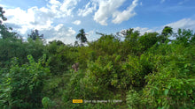 Load image into Gallery viewer, Bohol lot for sale 11,000 sqm clean title in Trinidad Bohol 900k negotiable