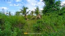 Load image into Gallery viewer, Bohol lot for sale 11,000 sqm clean title in Trinidad Bohol 900k negotiable