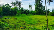 Load image into Gallery viewer, Lot For Sale in Trinidad Bohol Near Highway With 2,262 sqm