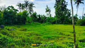 Lot For Sale in Trinidad Bohol Near Highway With 2,262 sqm