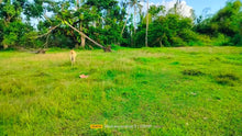 Load image into Gallery viewer, Lot For Sale in Trinidad Bohol Near Highway With 2,262 sqm