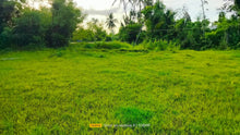 Load image into Gallery viewer, Lot For Sale in Trinidad Bohol Near Highway With 2,262 sqm