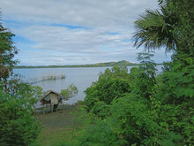 Load image into Gallery viewer, Beach lot for sale in Ubay Bohol 8,000 sqm clean title